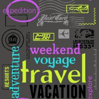 Наружный чехол для кресла мешка груши (макси) Трэвел Ч2.4-38 (скотчгард)