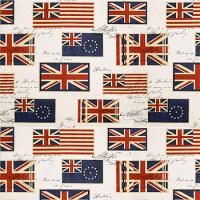 Наружный чехол для кресла мешка груши (макси) Флаг Ч2.4-39 (скотчгард)