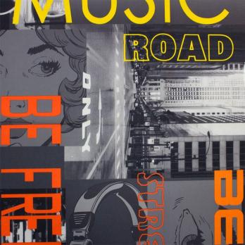 Велюр Music